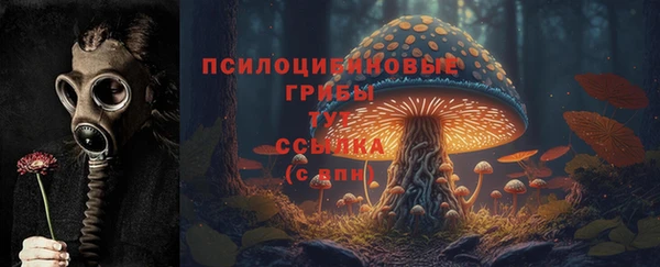 ALPHA PVP Алексеевка