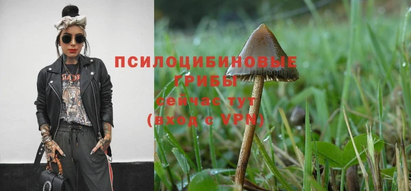 кокаин колумбия Алзамай