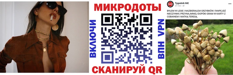 Галлюциногенные грибы Psilocybine cubensis  Катав-Ивановск 